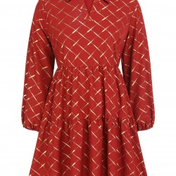 Plus Size Red  Lapel Plaid Dress